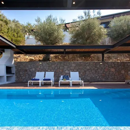 Luca Villa *